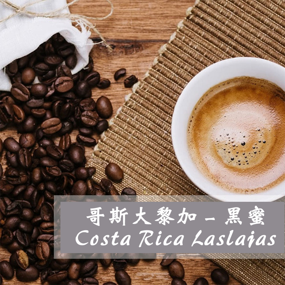 哥斯大黎加拉斯拉哈斯莊園黑蜜處理 豆工房domo Caffe