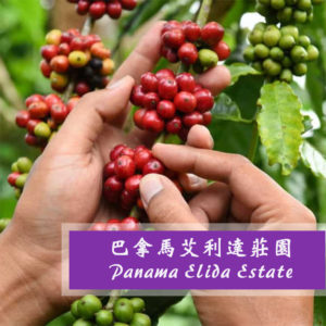 巴拿馬 艾利達莊園