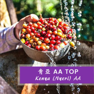 肯亞AA TOP