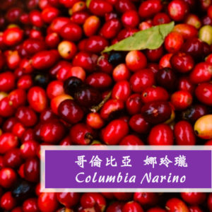 哥倫比亞 娜玲瓏