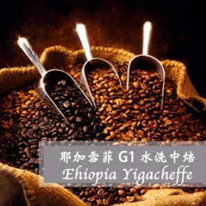 衣索比亞耶加雪夫水洗中焙G1