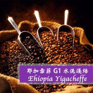 衣索比亞耶加雪夫水洗G1 (淺焙)