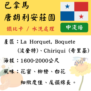巴拿馬-唐胡利安-鐵比卡水洗 （限量）